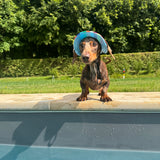 Doggy Sunhats