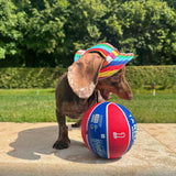 Doggy Sunhats