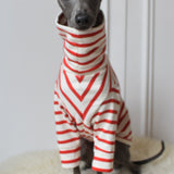Red Breton Jersey