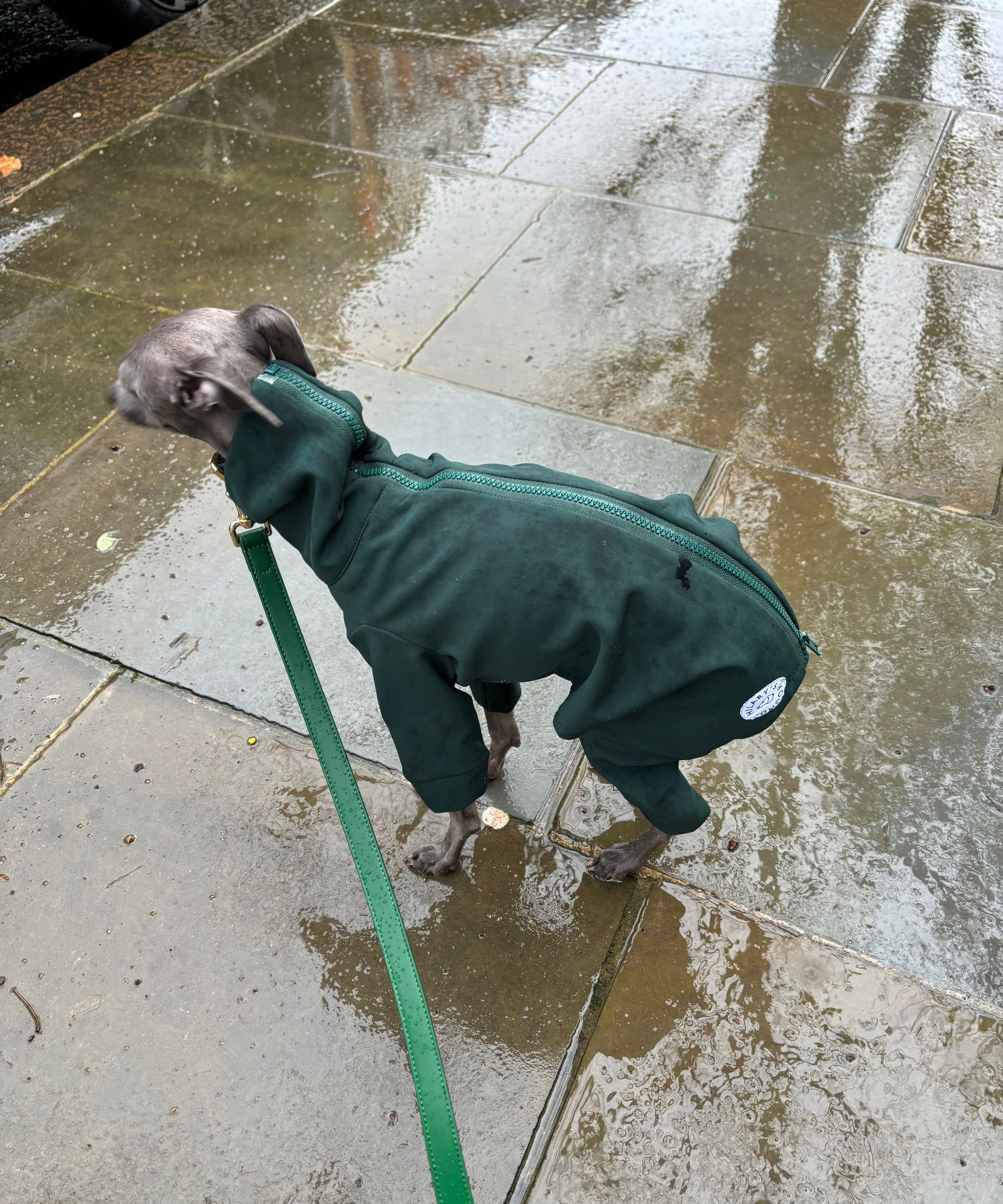 Waterproof Full Fleece Suit