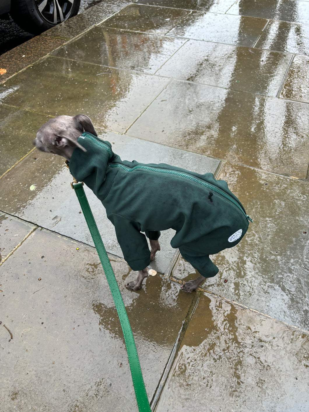 Waterproof Full Fleece Suit