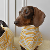 Italian Riviera - Yellow Sparkle Stripes