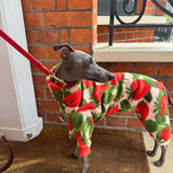 Strawberry Feilds Forever Fleece 🍓