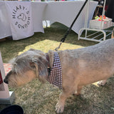 Gingham Bandana Neckerchiefs