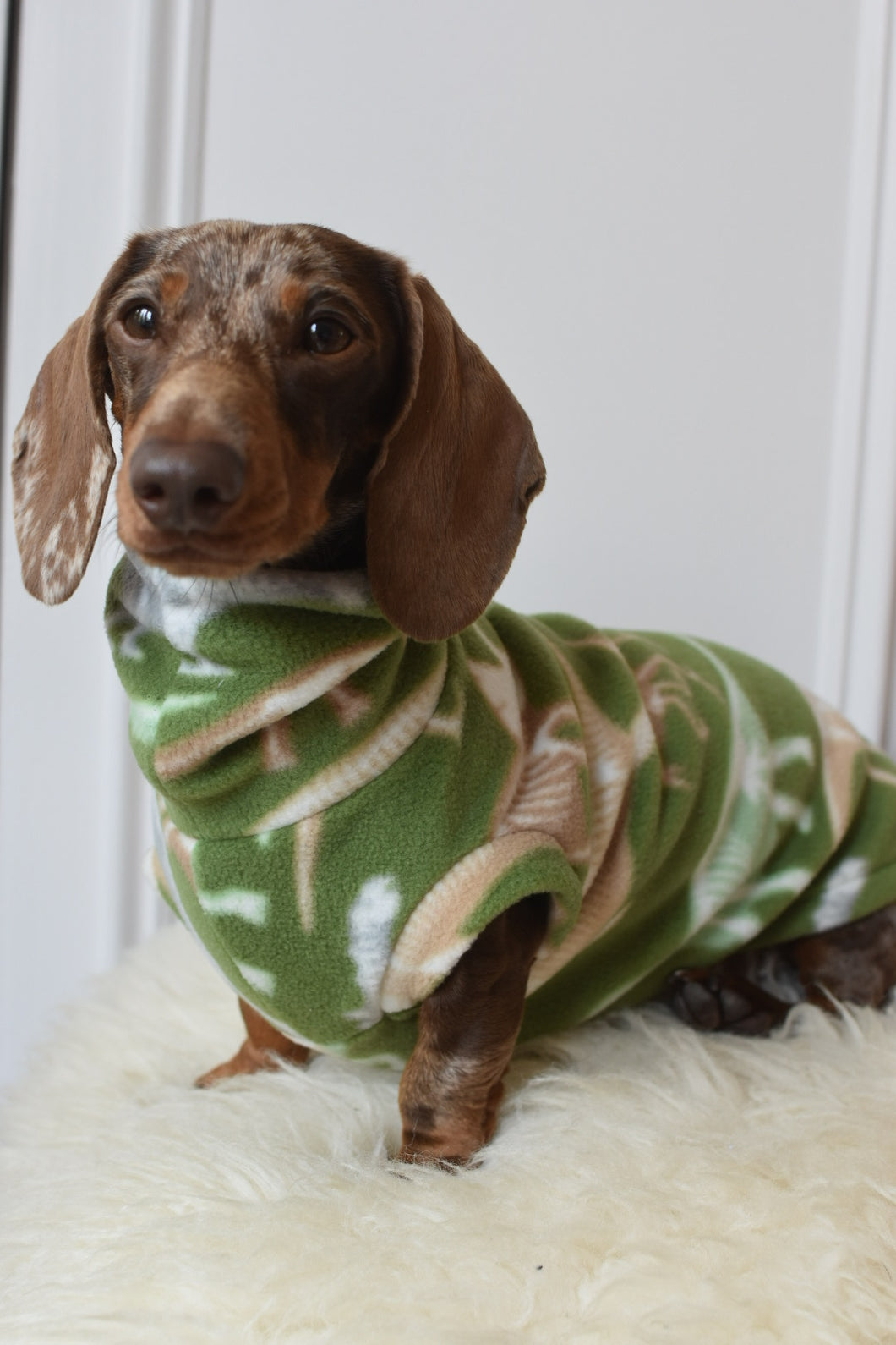 Green Dino Print Fleece 🦖