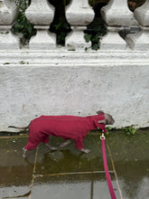 Load image into Gallery viewer, Waterproof Full Fleece Suit
