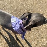 Gingham Bandana Neckerchiefs