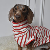 Red Breton Jersey