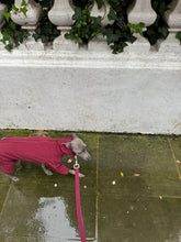 Load image into Gallery viewer, Waterproof Full Fleece Suit
