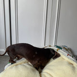 Snuggle Sack Beds