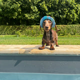 Doggy Sunhats