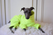 Load image into Gallery viewer, Fluro Fleece
