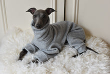 Load image into Gallery viewer, Pale Grey Fleece
