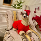 Christmas Fleece