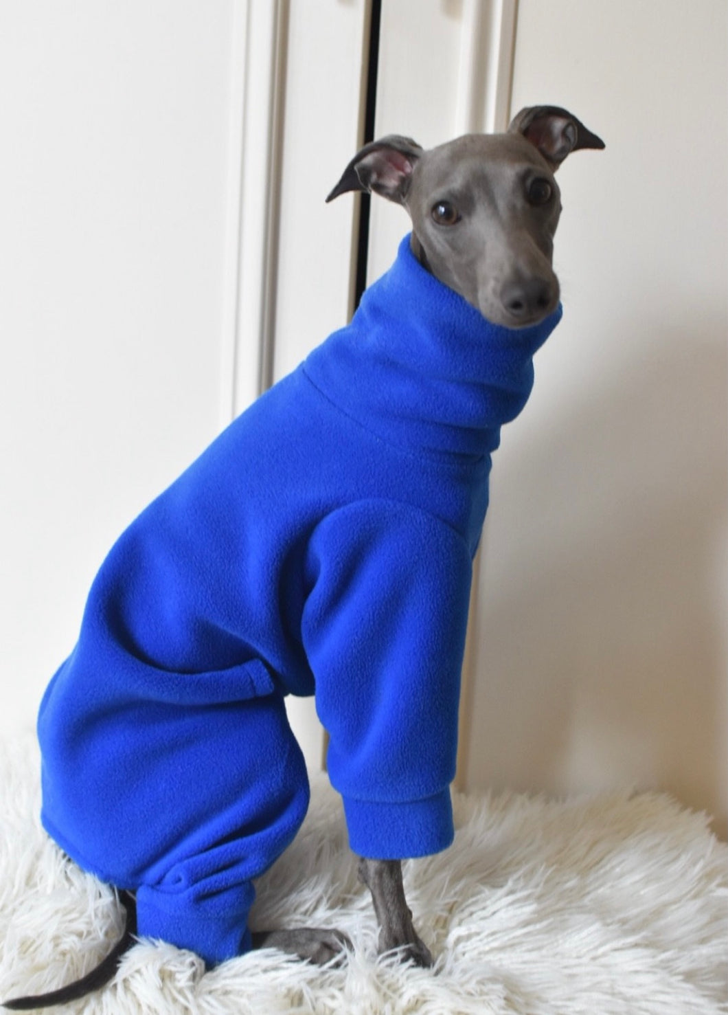 Blue Fleece