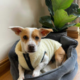 Sherpa Fleece