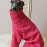 Sweater Weather