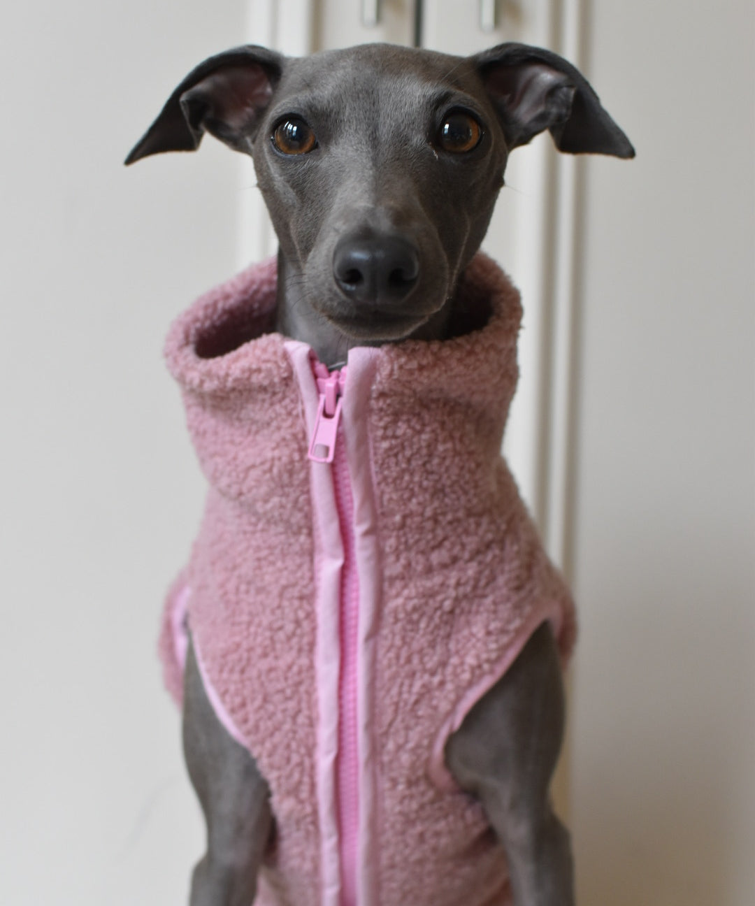 Sherpa Fleece