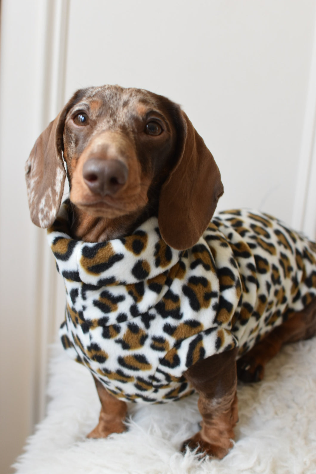 Snow Leopard Fleece