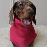 Sweater Weather