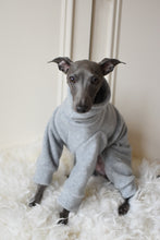 Load image into Gallery viewer, Pale Grey Fleece
